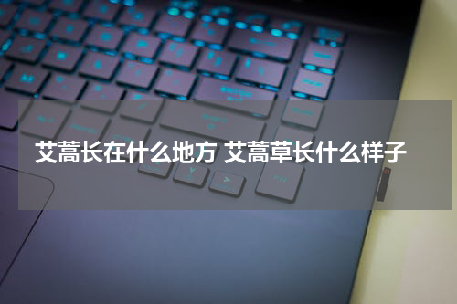 艾蒿长在什么地方 艾蒿草长什么样子