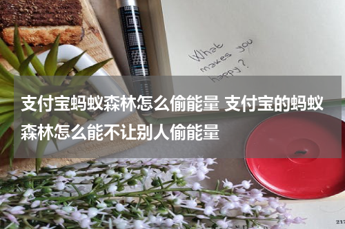 支付宝蚂蚁森林怎么偷能量 支付宝的蚂蚁森林怎么能不让别人偷能量