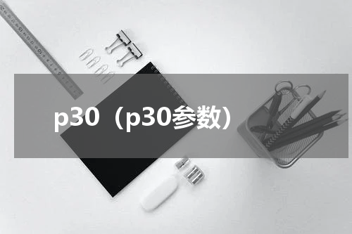 p30（p30参数）
