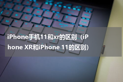 iPhone手机11和xr的区别（iPhone XR和iPhone 11的区别）
