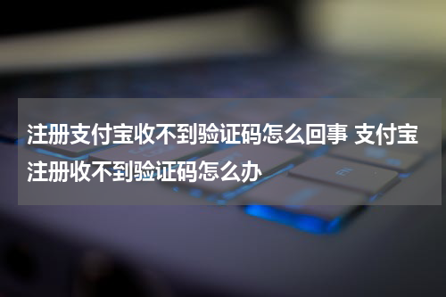 注册支付宝收不到验证码怎么回事 支付宝注册收不到验证码怎么办