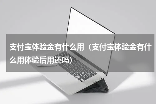 支付宝体验金有什么用（支付宝体验金有什么用体验后用还吗）