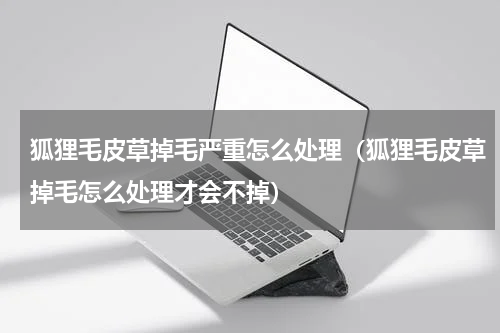 狐狸毛皮草掉毛严重怎么处理（狐狸毛皮草掉毛怎么处理才会不掉）