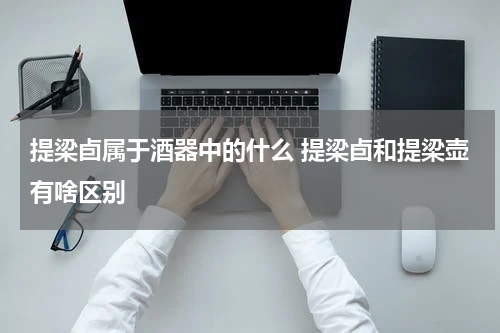 提梁卣属于酒器中的什么 提梁卣和提梁壶有啥区别