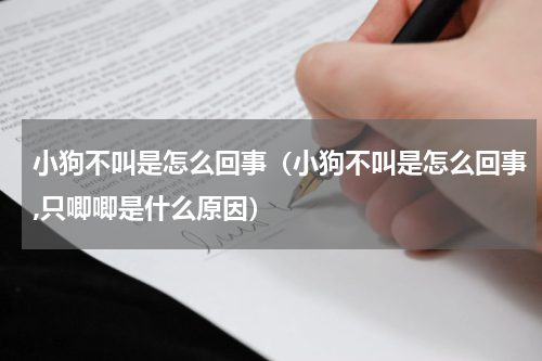 小狗不叫是怎么回事（小狗不叫是怎么回事,只唧唧是什么原因）