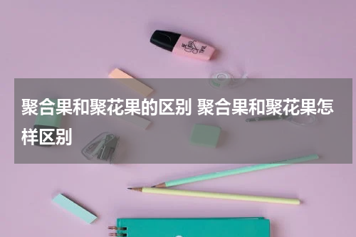 聚合果和聚花果的区别 聚合果和聚花果怎样区别