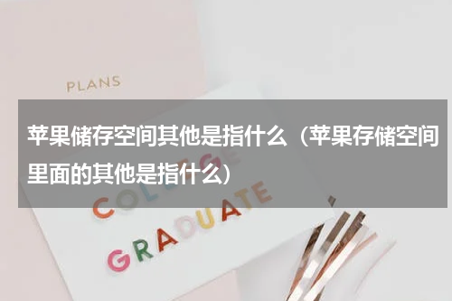 苹果储存空间其他是指什么（苹果存储空间里面的其他是指什么）