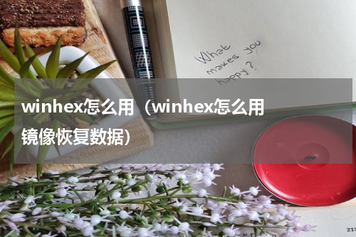 winhex怎么用（winhex怎么用镜像恢复数据）
