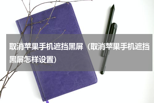 取消苹果手机遮挡黑屏（取消苹果手机遮挡黑屏怎样设置）