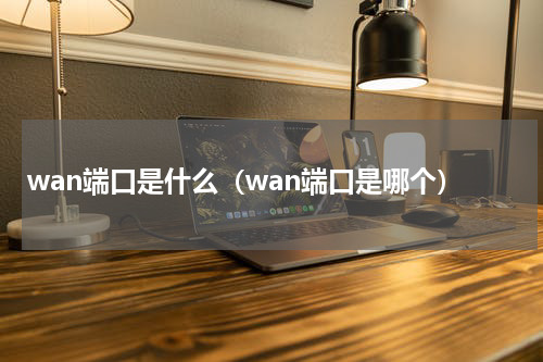 wan端口是什么（wan端口是哪个）