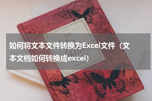 如何将文本文件转换为Excel文件（文本文档如何转换成excel）