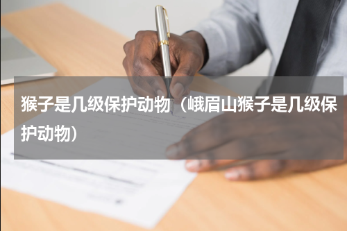 猴子是几级保护动物（峨眉山猴子是几级保护动物）