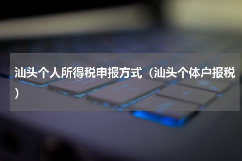 汕头个人所得税申报方式（汕头个体户报税）