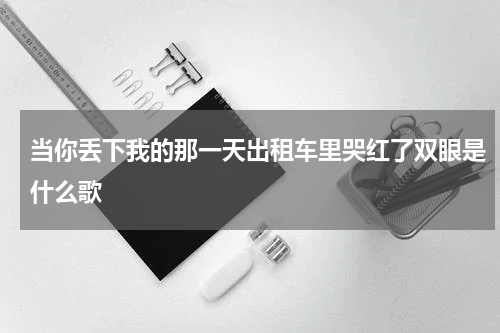 当你丢下我的那一天出租车里哭红了双眼是什么歌