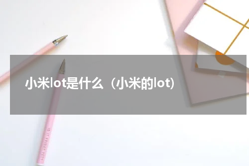 小米lot是什么（小米的lot）