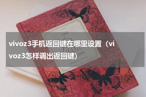 vivoz3手机返回键在哪里设置（vivoz3怎样调出返回键）