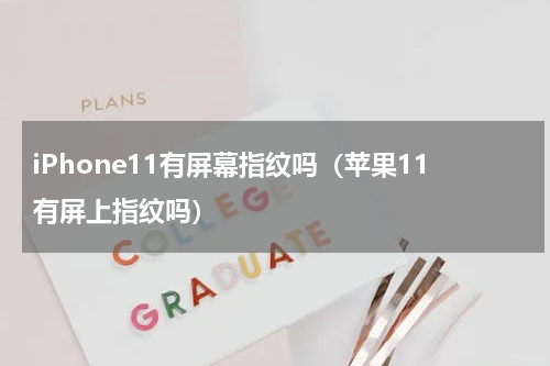 iPhone11有屏幕指纹吗（苹果11有屏上指纹吗）