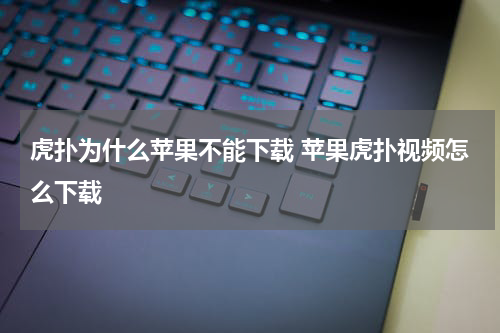 虎扑为什么苹果不能下载 苹果虎扑视频怎么下载