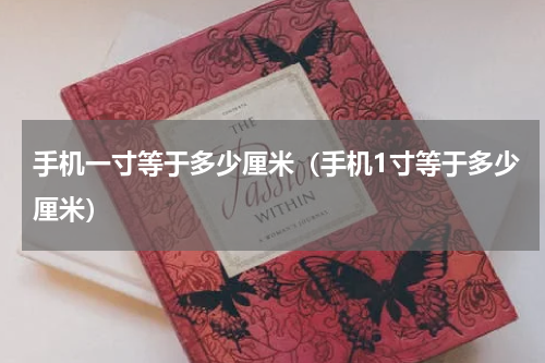 手机一寸等于多少厘米（手机1寸等于多少厘米）