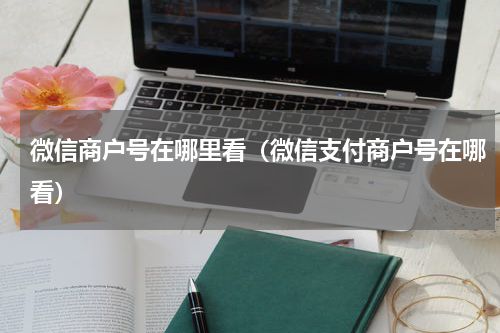 微信商户号在哪里看（微信支付商户号在哪看）