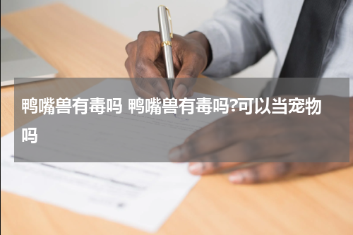 鸭嘴兽有毒吗 鸭嘴兽有毒吗?可以当宠物吗