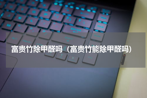 富贵竹除甲醛吗（富贵竹能除甲醛吗）
