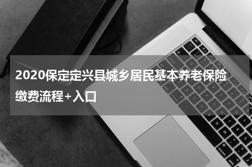 2020保定定兴县城乡居民基本养老保险缴费流程+入口