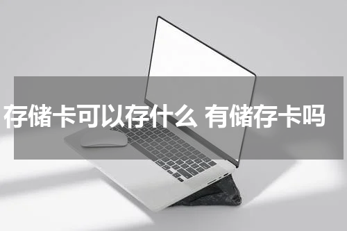 存储卡可以存什么 有储存卡吗