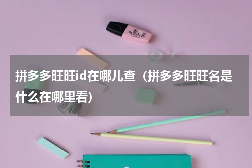 拼多多旺旺id在哪儿查（拼多多旺旺名是什么在哪里看）