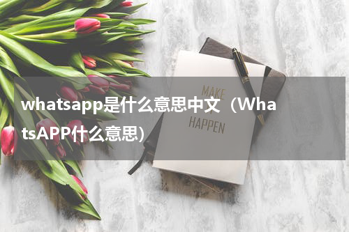 whatsapp是什么意思中文（WhatsAPP什么意思）