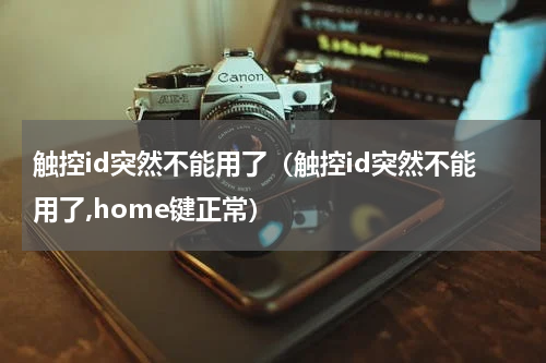 触控id突然不能用了（触控id突然不能用了,home键正常）