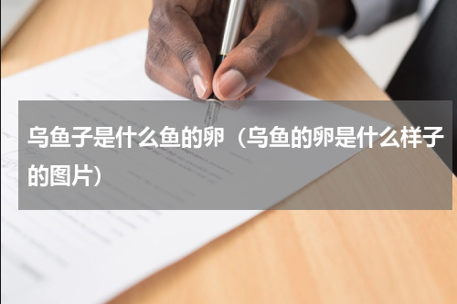 乌鱼子是什么鱼的卵（乌鱼的卵是什么样子的图片）