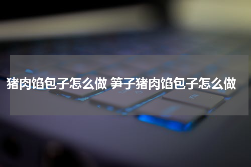 猪肉馅包子怎么做 笋子猪肉馅包子怎么做