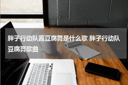 胖子行动队酱豆腐舞是什么歌 胖子行动队豆腐舞歌曲