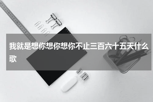 我就是想你想你想你不止三百六十五天什么歌