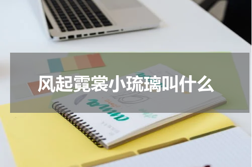 风起霓裳小琉璃叫什么