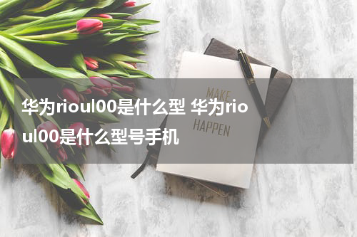 华为rioul00是什么型 华为rioul00是什么型号手机