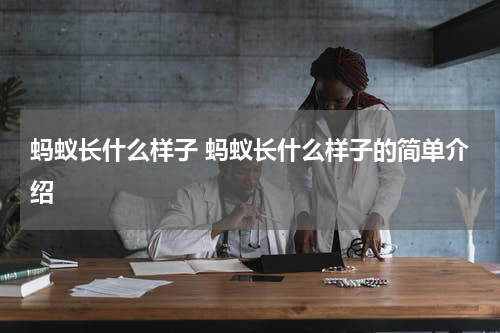 蚂蚁长什么样子 蚂蚁长什么样子的简单介绍
