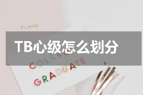 TB心级怎么划分