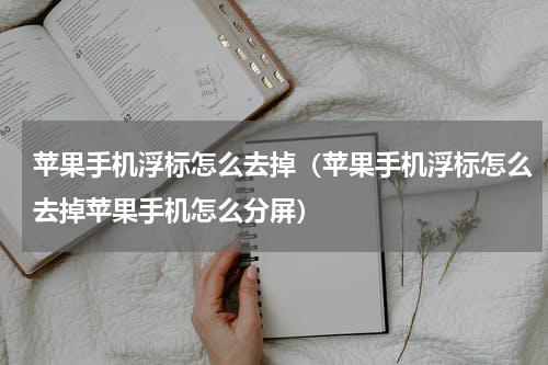 苹果手机浮标怎么去掉（苹果手机浮标怎么去掉苹果手机怎么分屏）