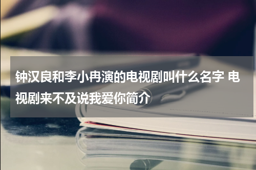钟汉良和李小冉演的电视剧叫什么名字 电视剧来不及说我爱你简介