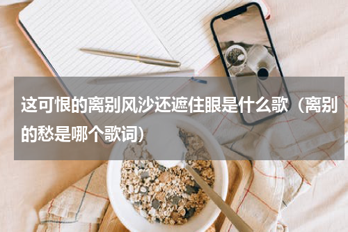 这可恨的离别风沙还遮住眼是什么歌（离别的愁是哪个歌词）