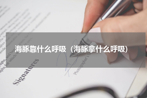 海豚靠什么呼吸（海豚拿什么呼吸）