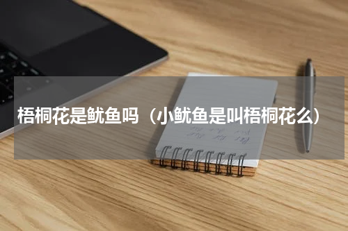 梧桐花是鱿鱼吗（小鱿鱼是叫梧桐花么）