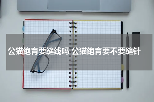 公猫绝育要缝线吗 公猫绝育要不要缝针