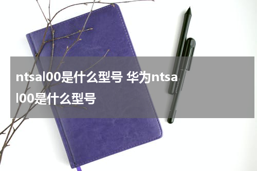 ntsal00是什么型号 华为ntsal00是什么型号