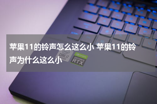 苹果11的铃声怎么这么小 苹果11的铃声为什么这么小