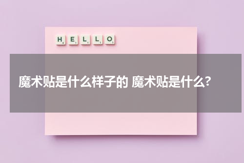 魔术贴是什么样子的 魔术贴是什么?