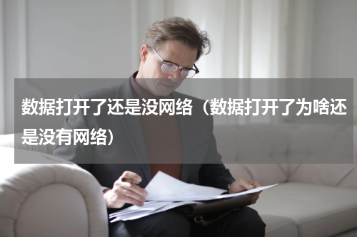数据打开了还是没网络（数据打开了为啥还是没有网络）