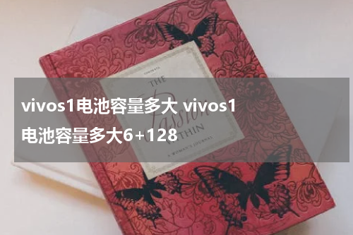 vivos1电池容量多大 vivos1电池容量多大6+128